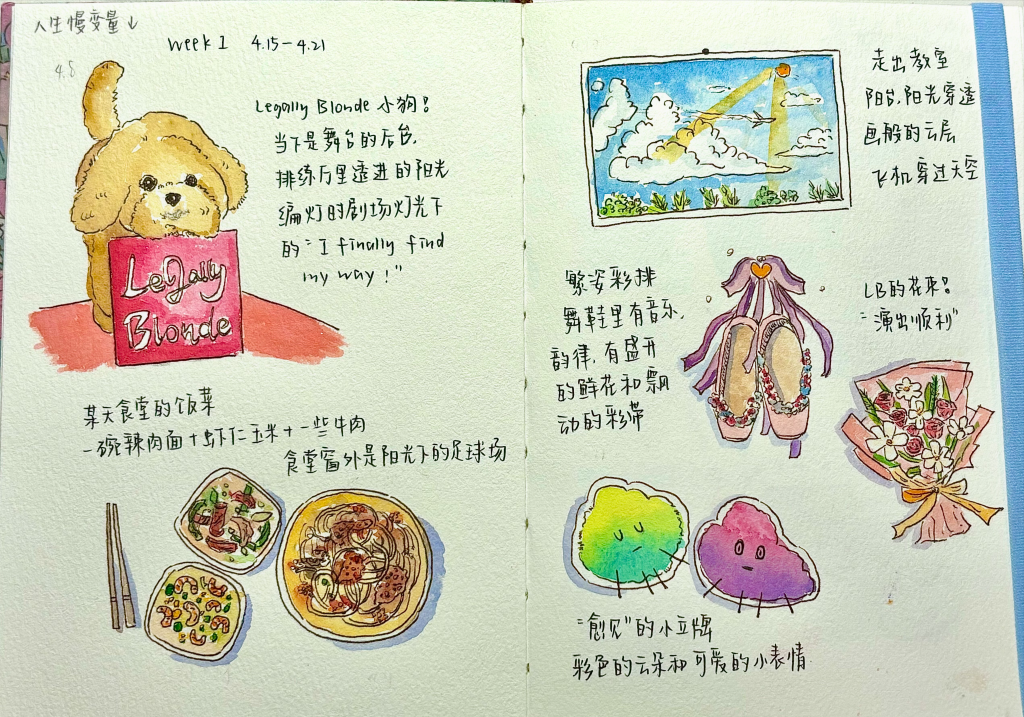 daily journals